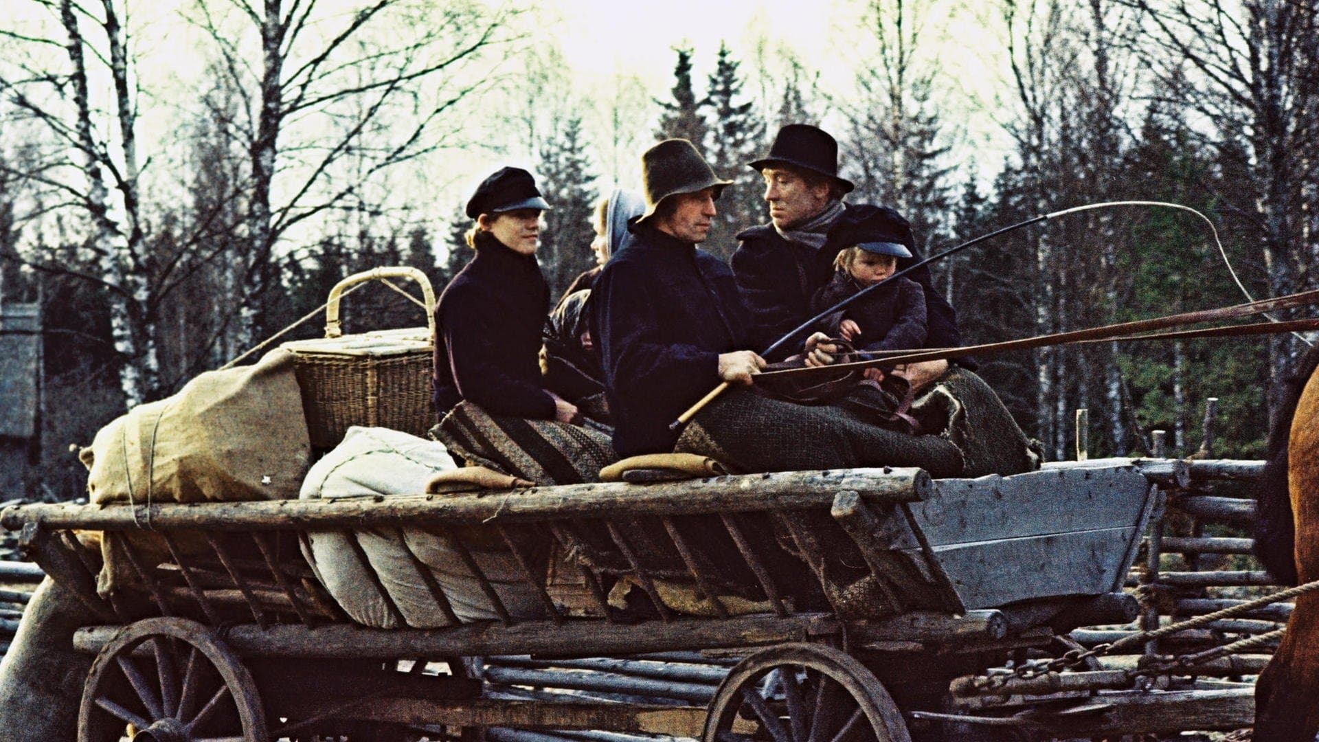 Backdrop for The Emigrants