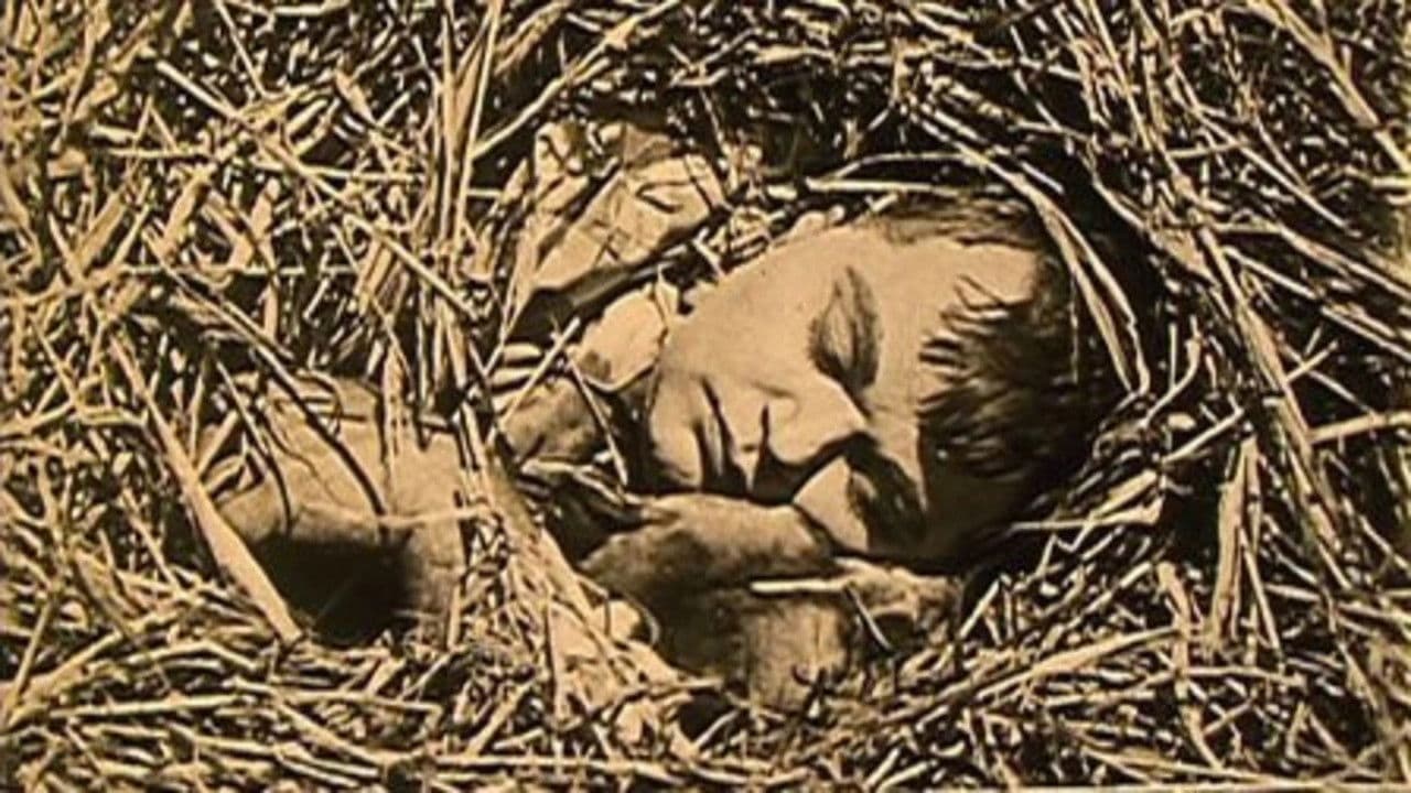 Backdrop for The Hayseed