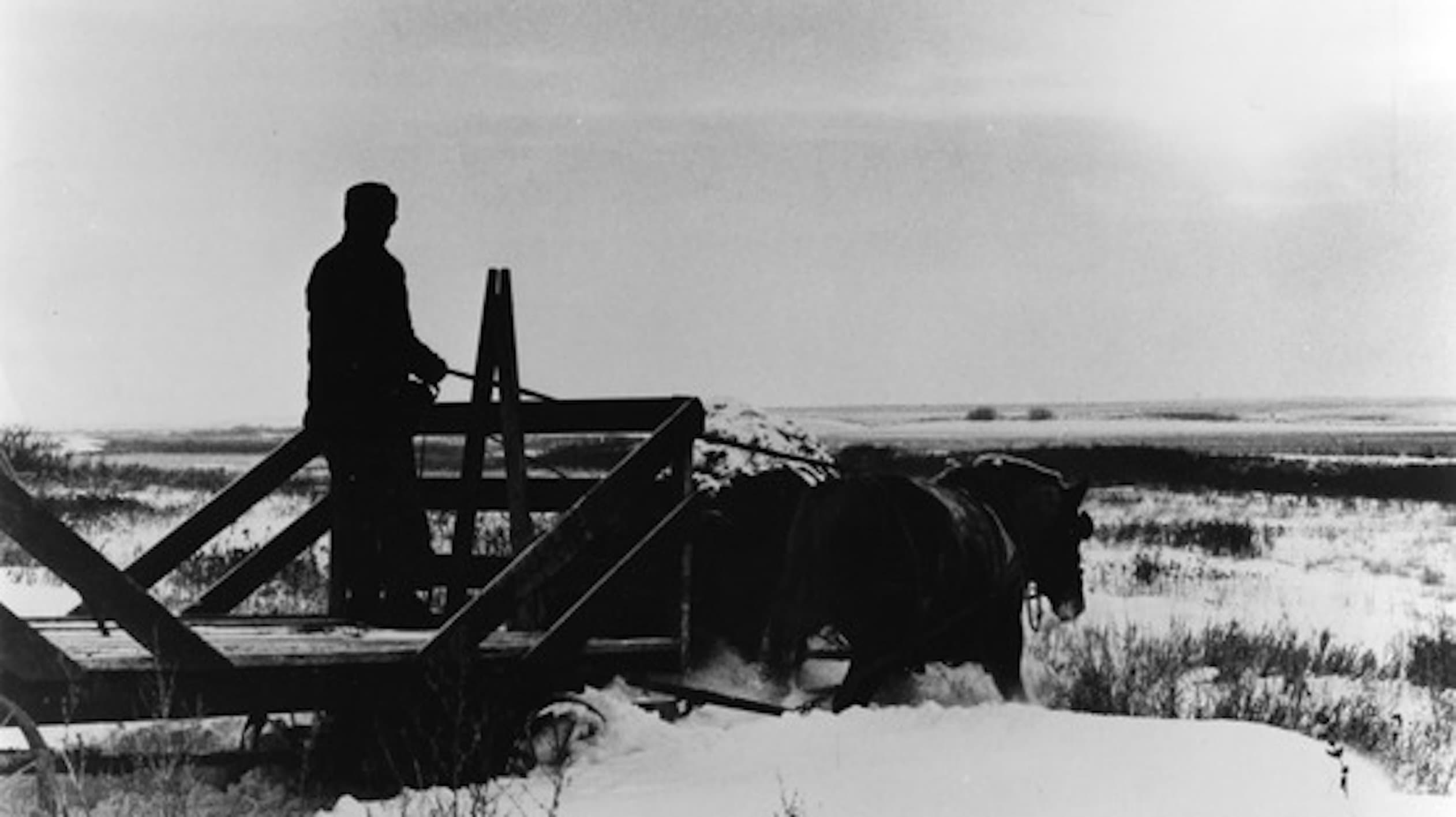 Backdrop for Northern Lights