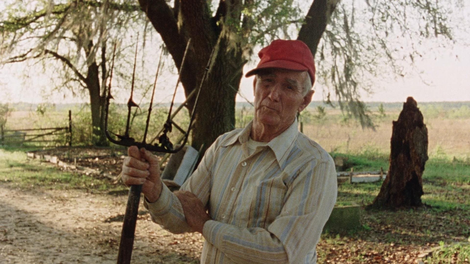 Backdrop for Vernon, Florida