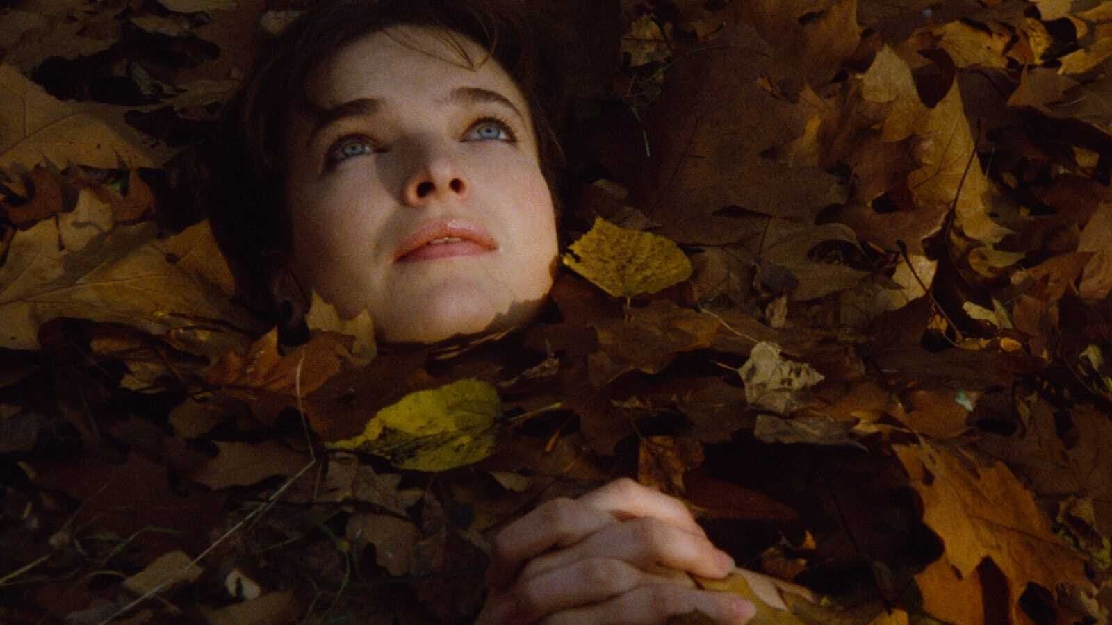 Backdrop for Diary for My Lovers