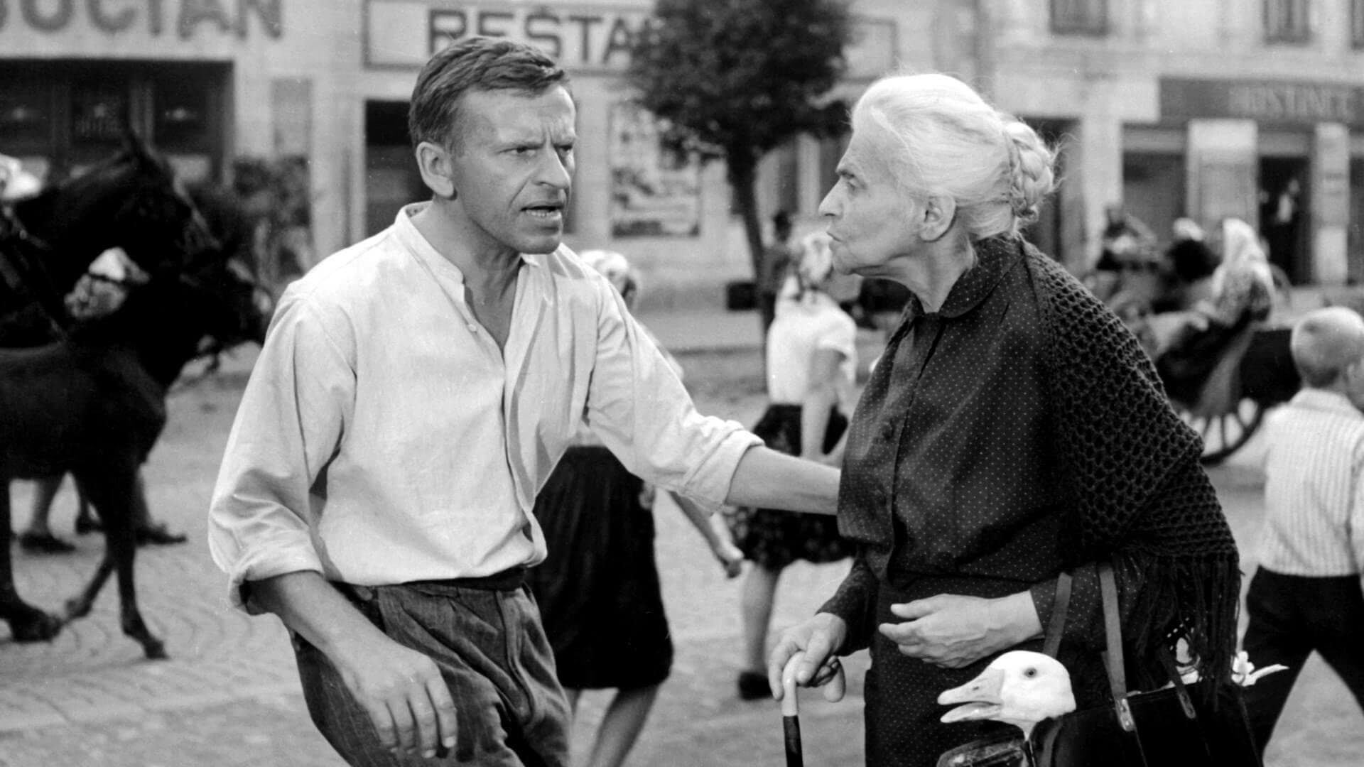 Backdrop for The Shop on Main Street