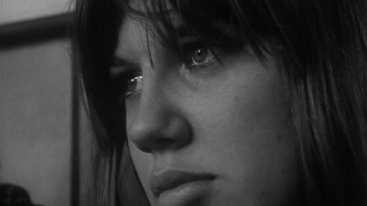 Backdrop for Warrendale