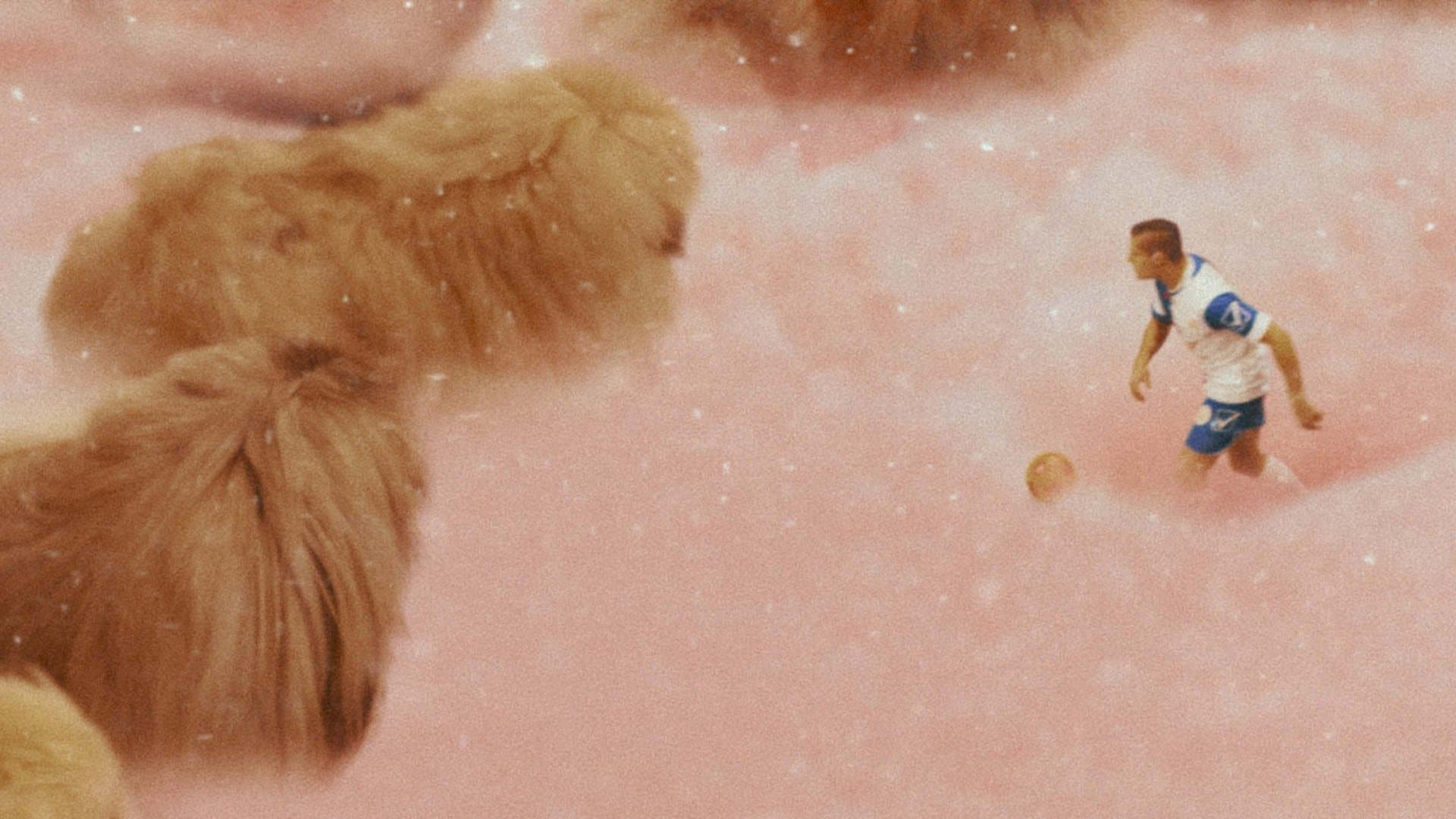 Backdrop for Diamantino