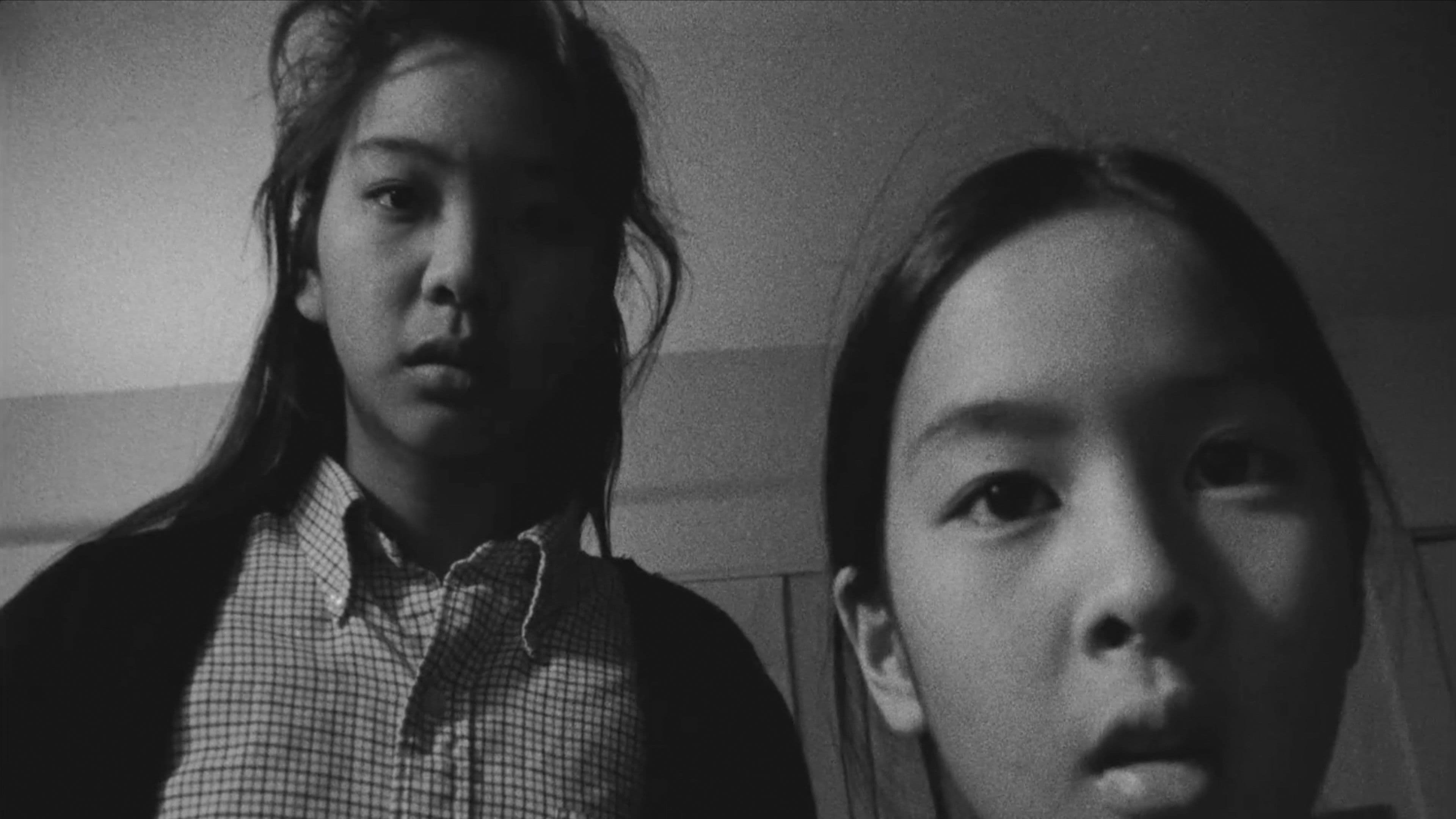 Backdrop for Two Lies