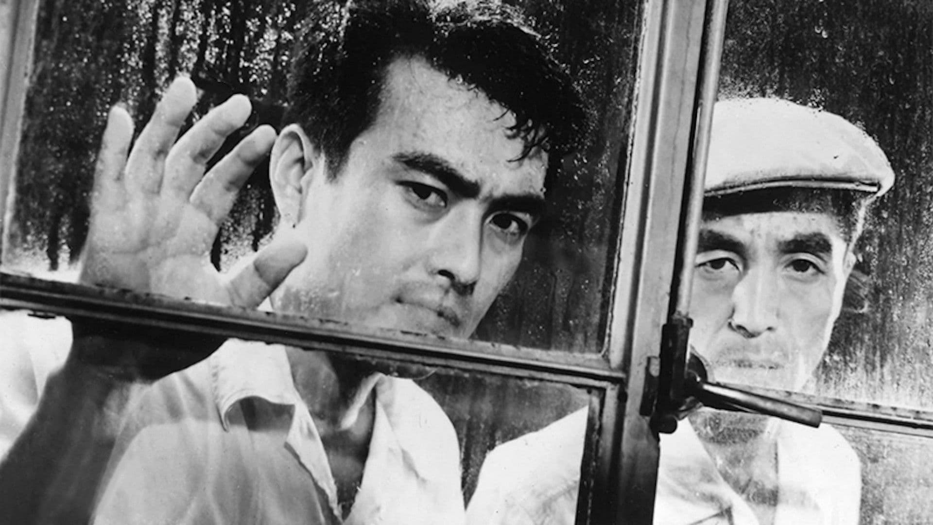 Backdrop for Stakeout