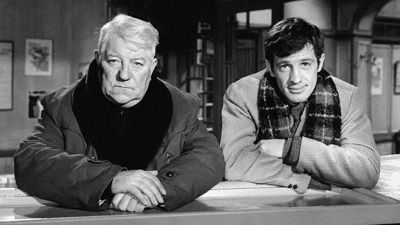 Backdrop for A Monkey in Winter