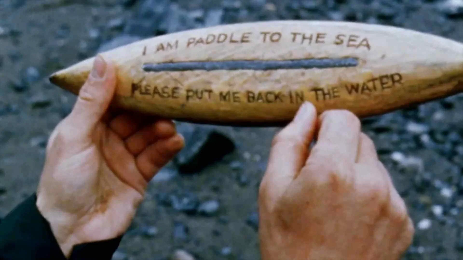Backdrop for Paddle to the Sea