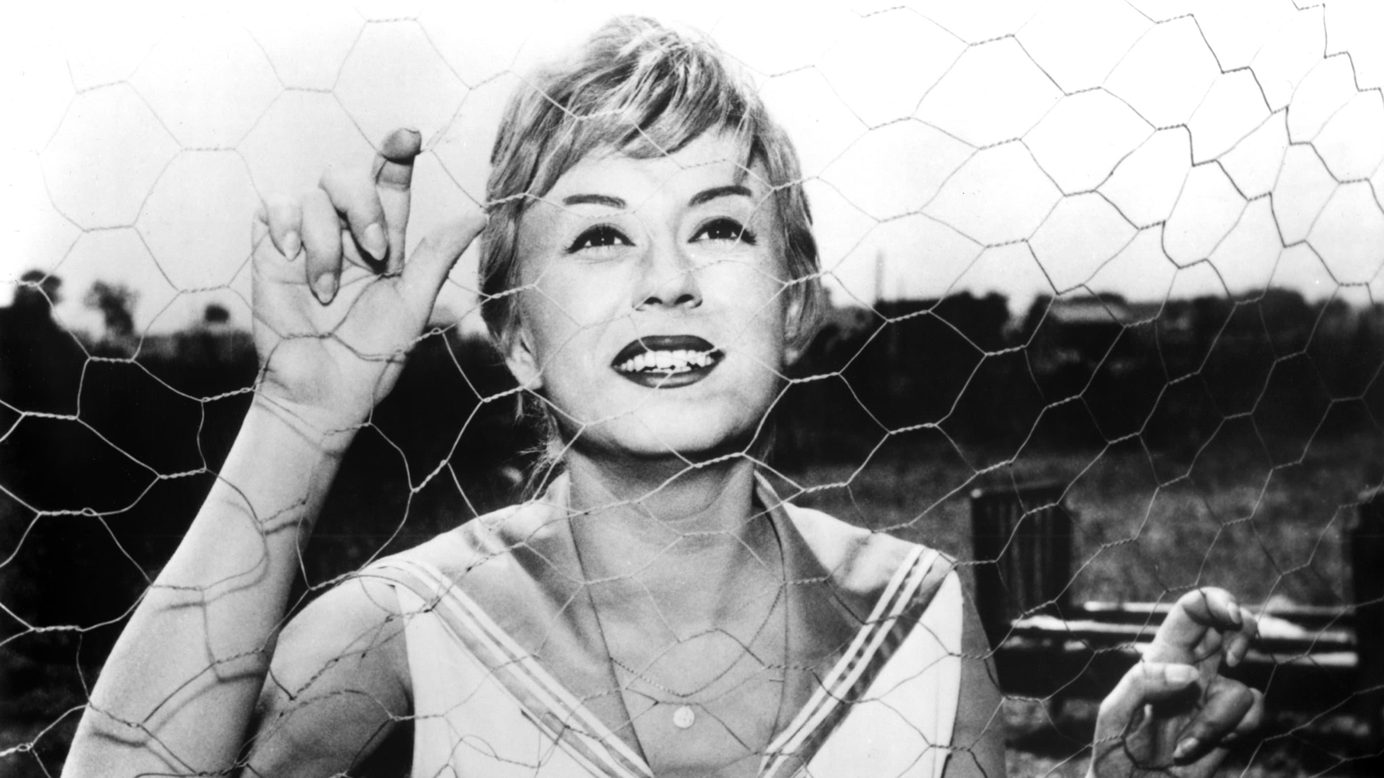 Backdrop for Nights of Cabiria