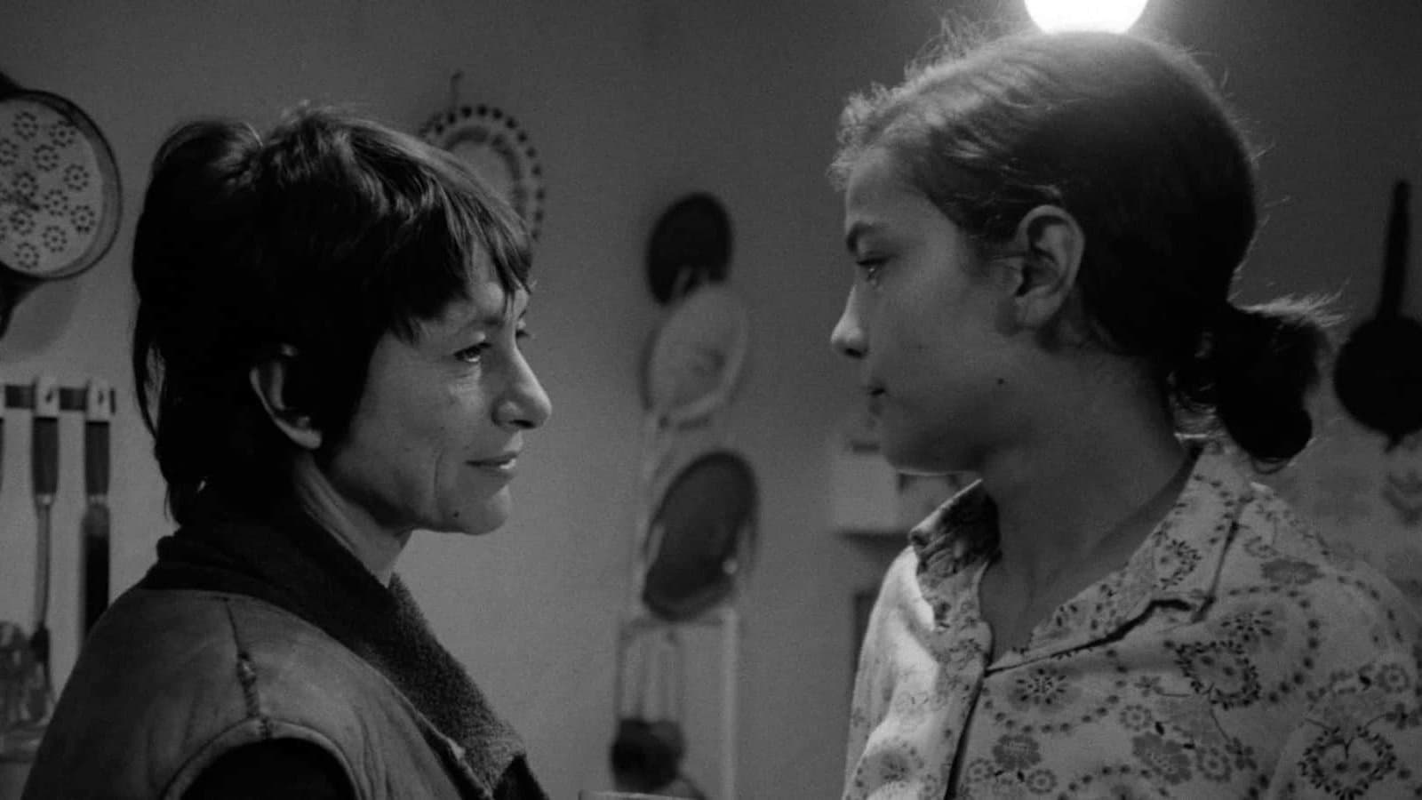 Backdrop for Adoption