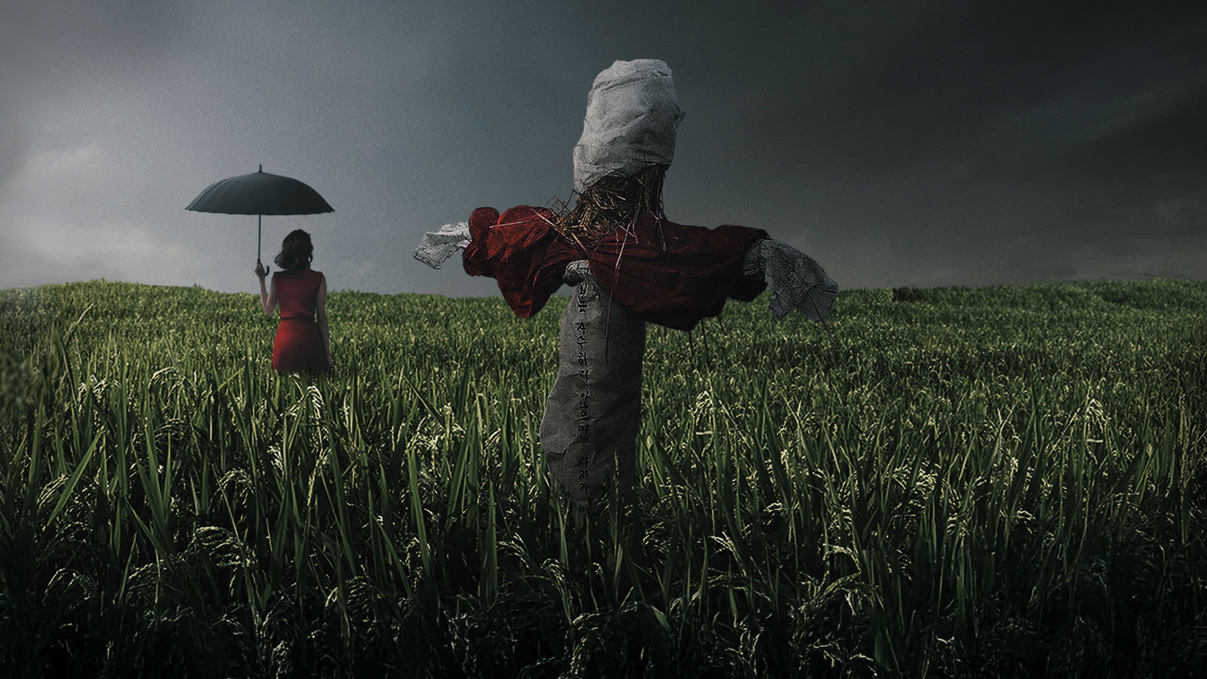 Backdrop for Memories of Murder