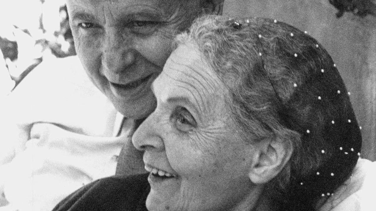 Backdrop for Elsa la rose