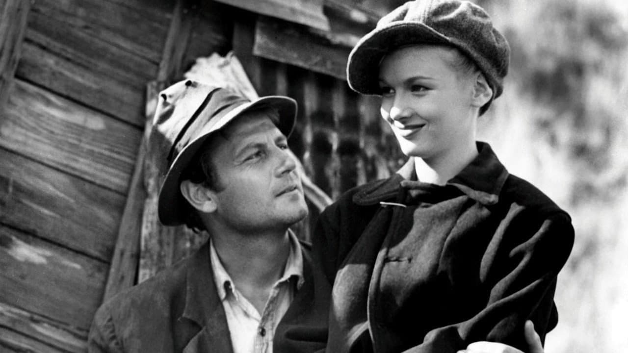 Backdrop for Sullivan’s Travels