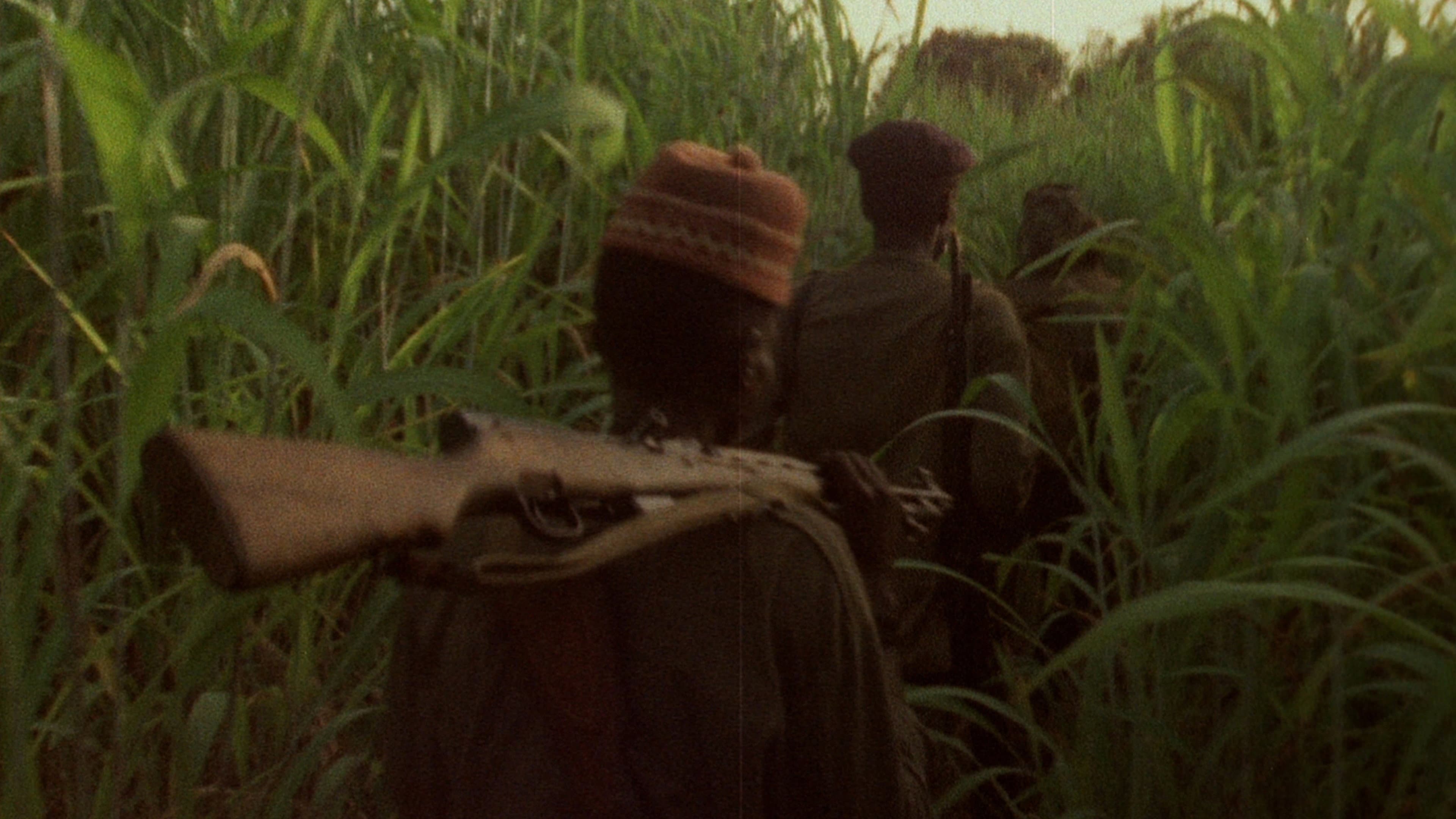 Backdrop for Concerning Violence