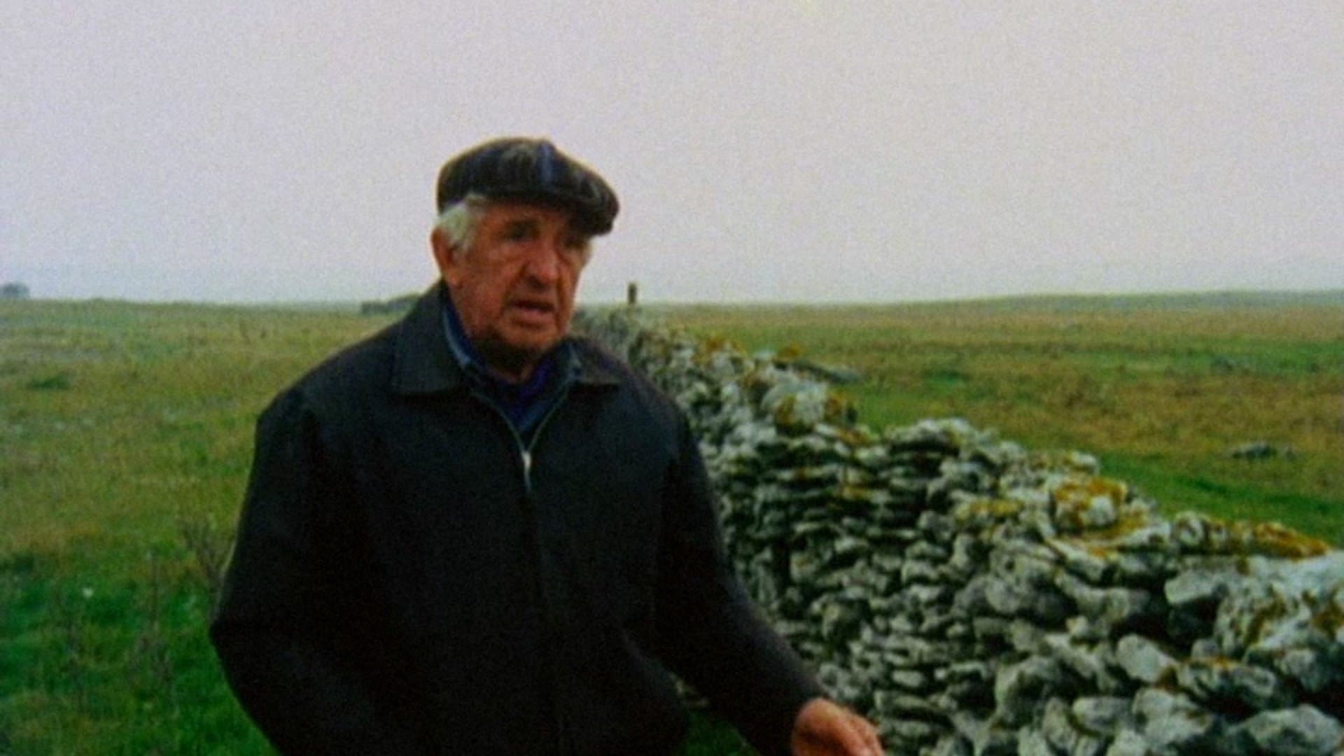 Backdrop for Fårö Document 1979