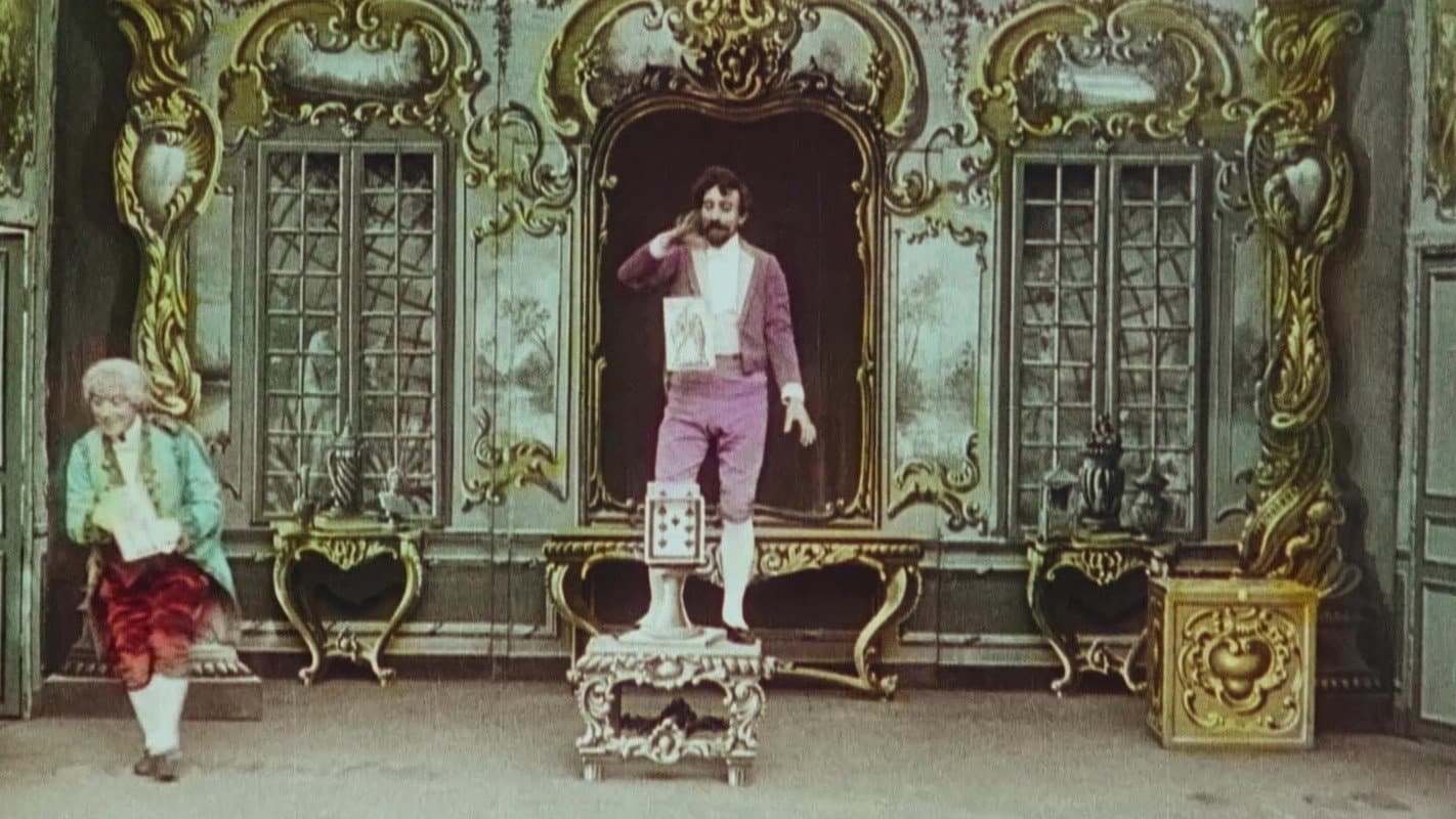 Backdrop for Whimsical Illusions