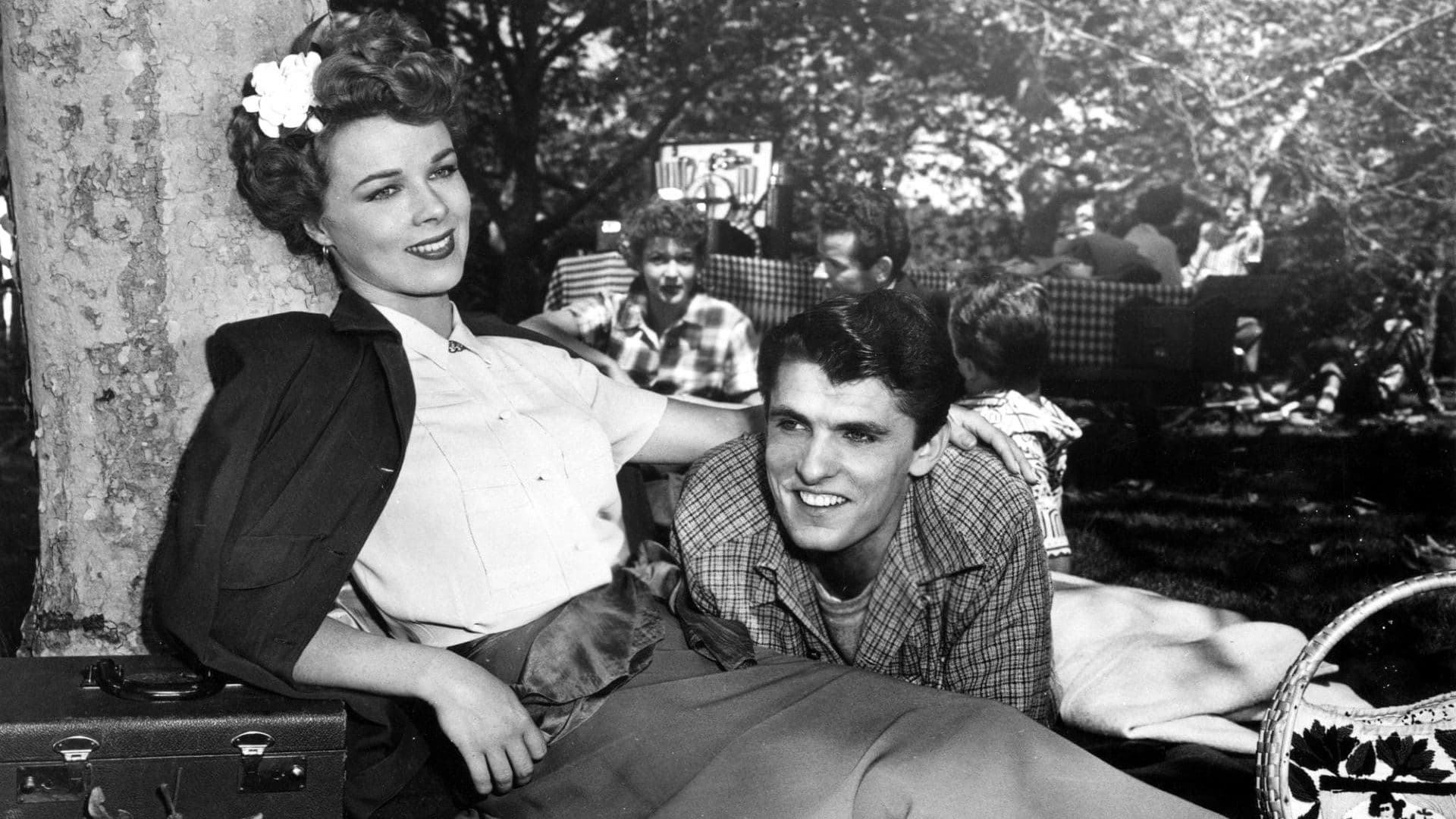 Backdrop for Never Fear