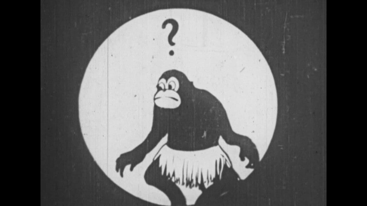 Backdrop for The Octopus