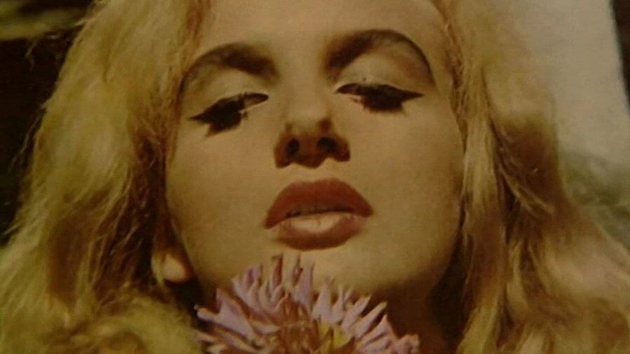 Backdrop for Didn’t Do It for Love