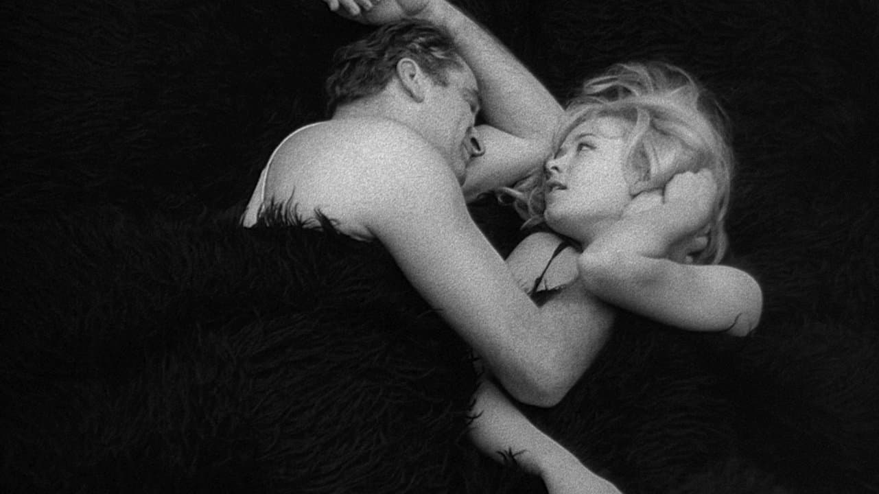 Backdrop for Man Is Not a Bird