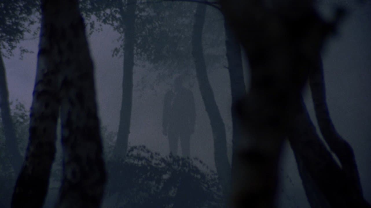 Backdrop for Torso