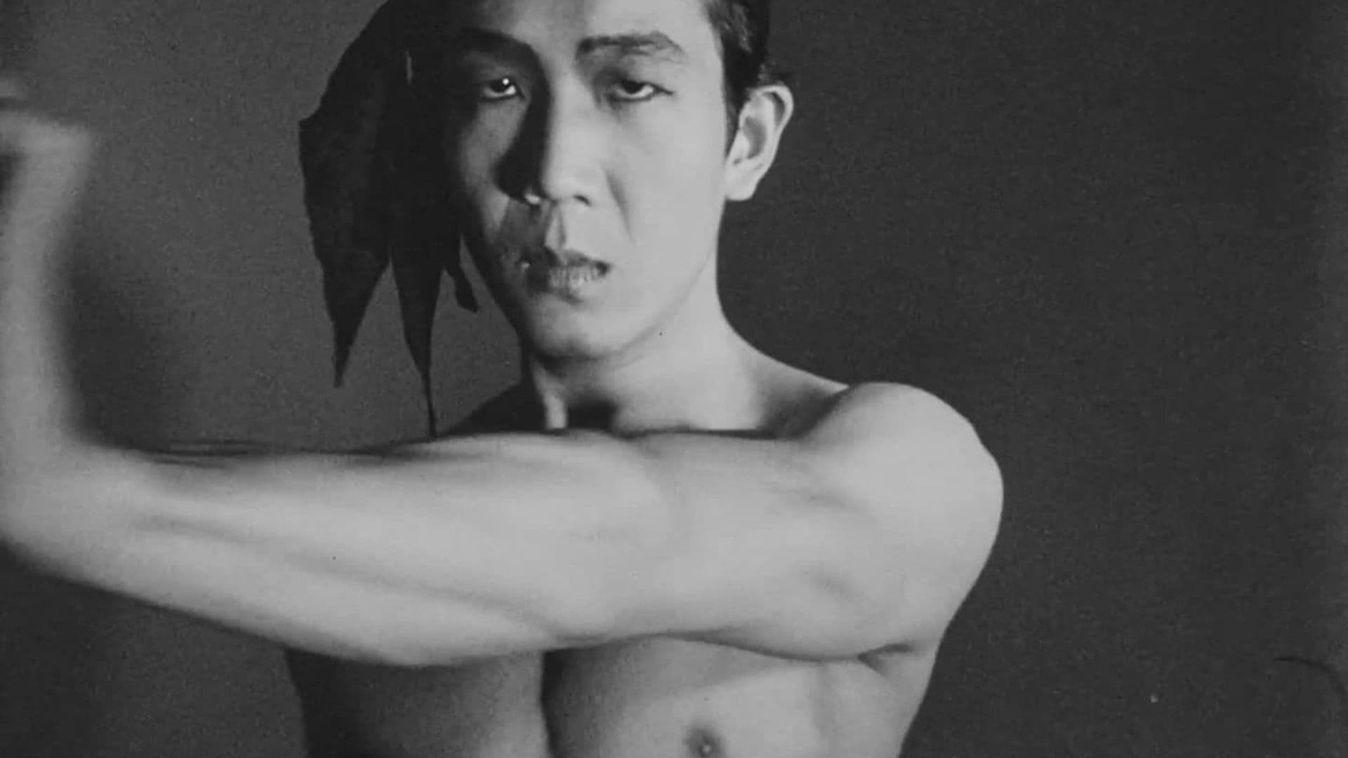 Backdrop for Meditation on Violence