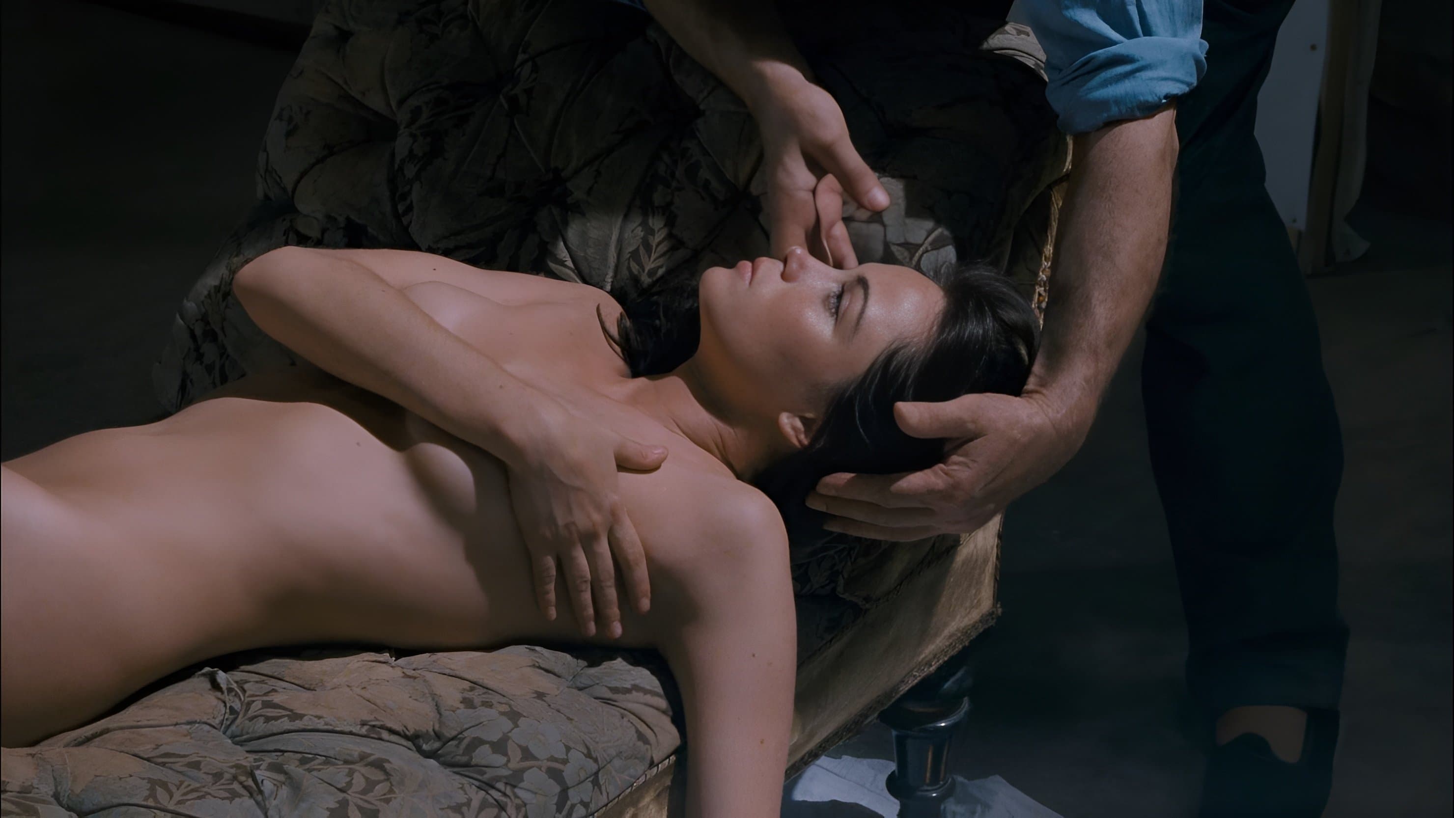 Backdrop for La belle noiseuse