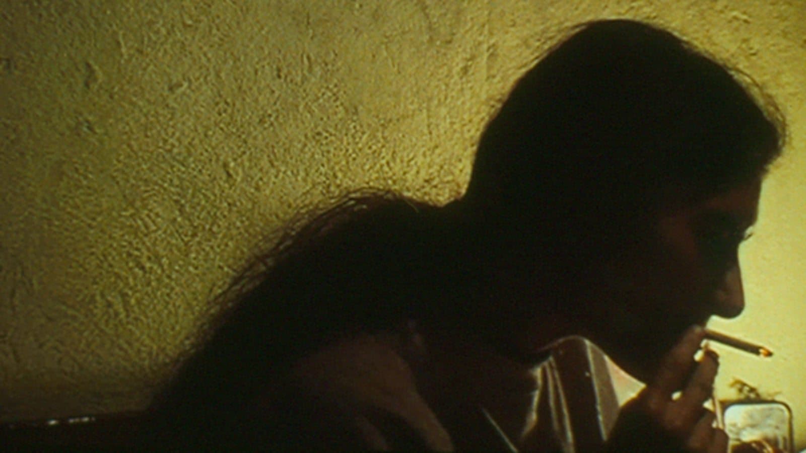 Backdrop for In Vanda’s Room