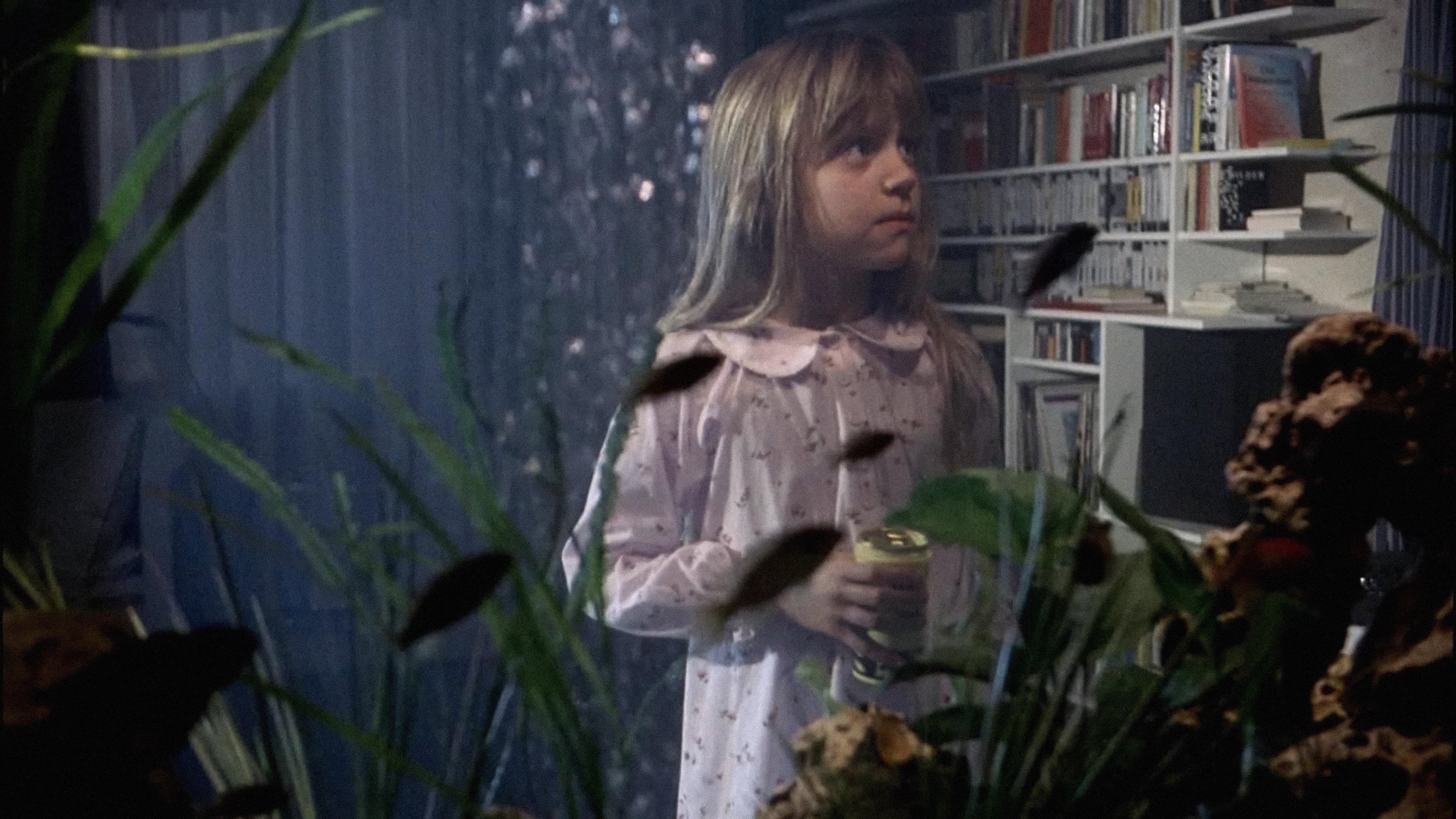 Backdrop for The Seventh Continent