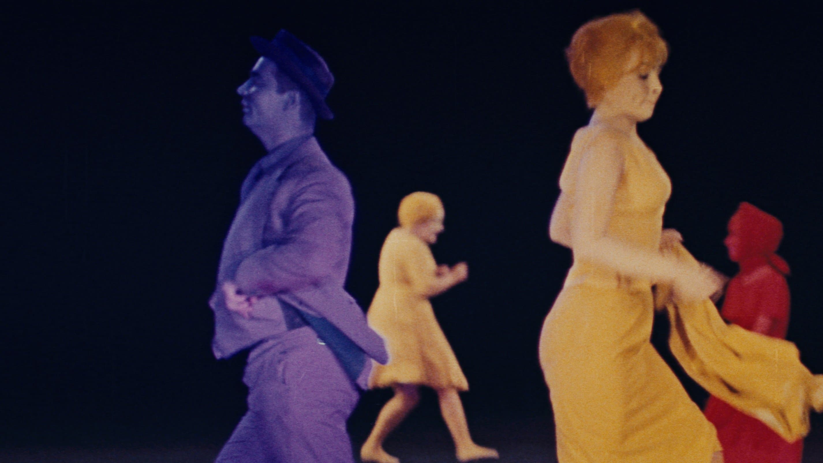 Backdrop for The Cassandra Cat