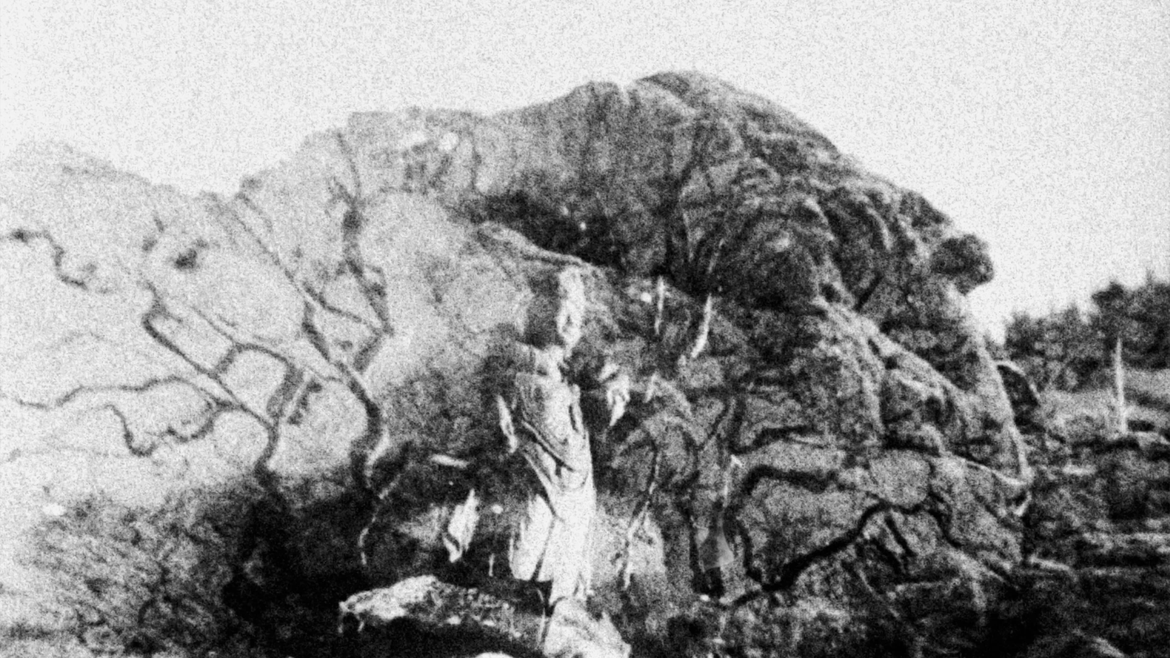 Backdrop for Buseok