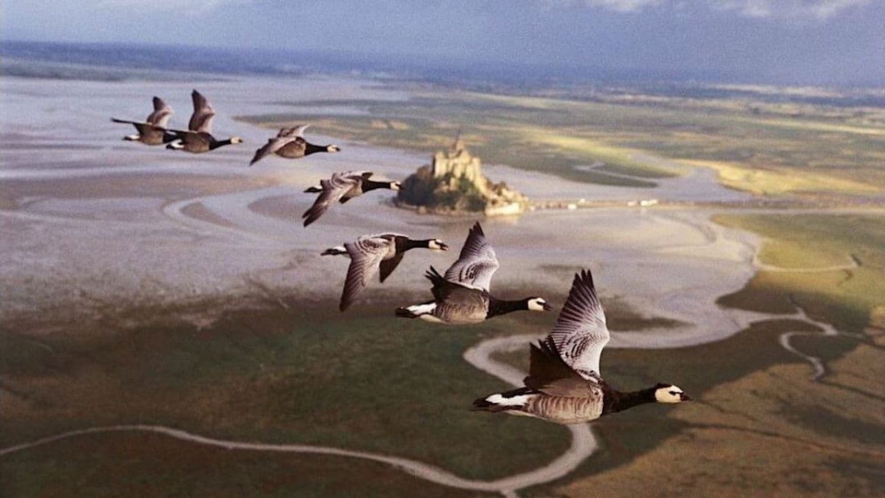 Backdrop for Winged Migration