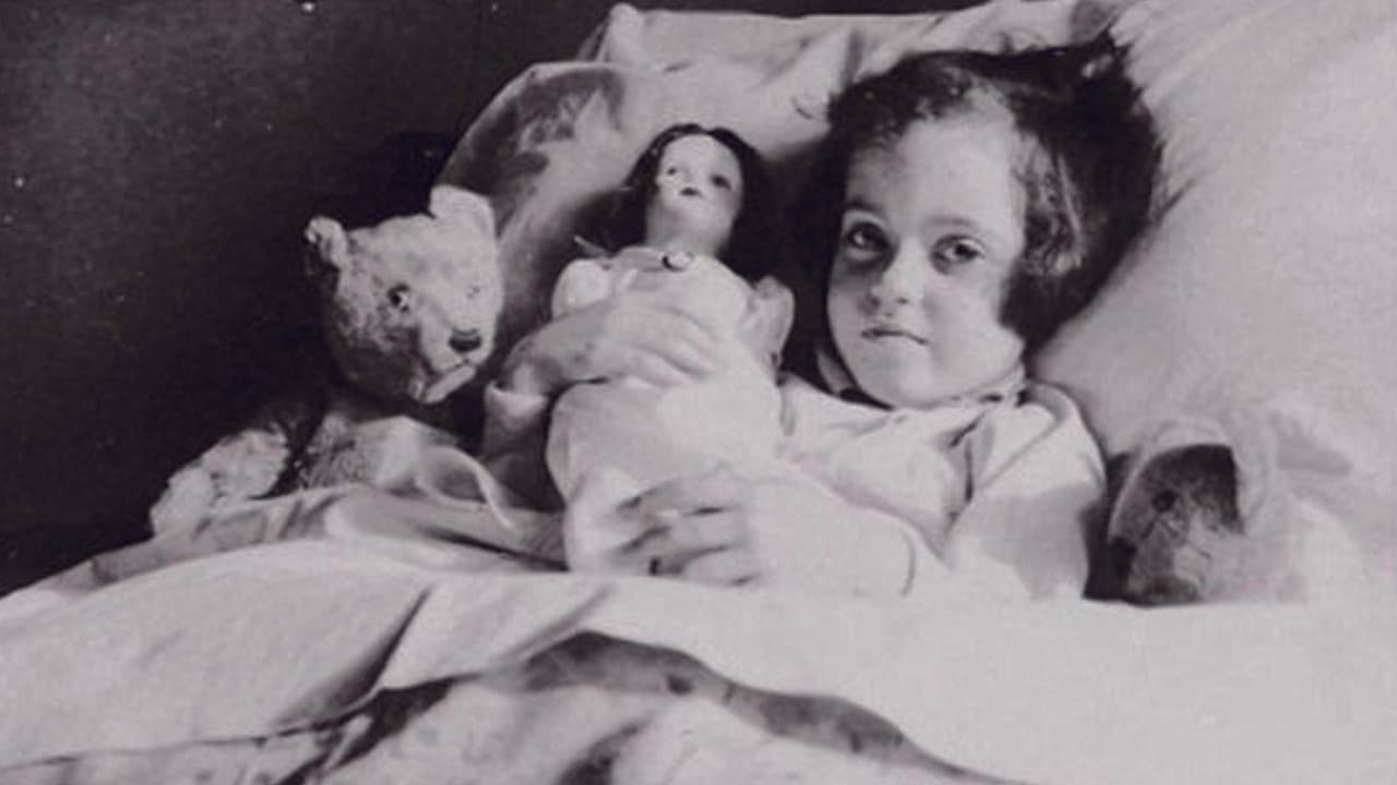 Backdrop for Ydessa, les ours et etc. . . .