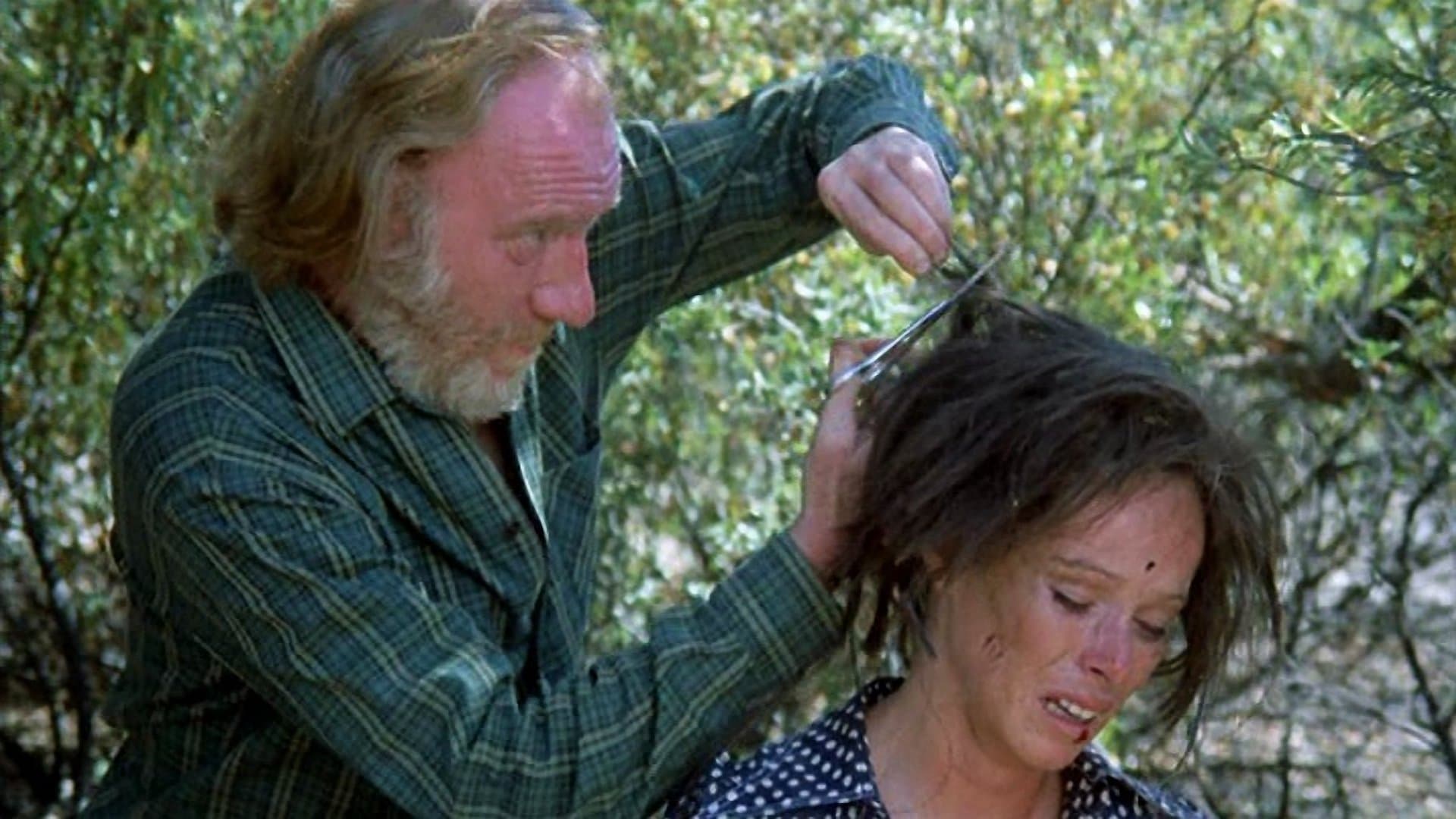 Backdrop for Ana and the Wolves