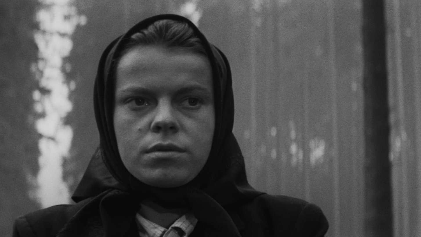 Backdrop for Coach to Vienna