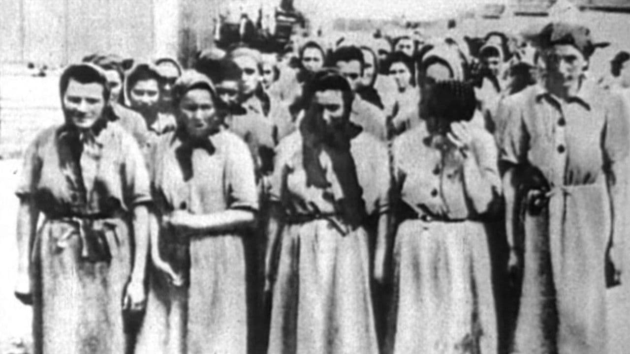 Backdrop for Women of the Resistance