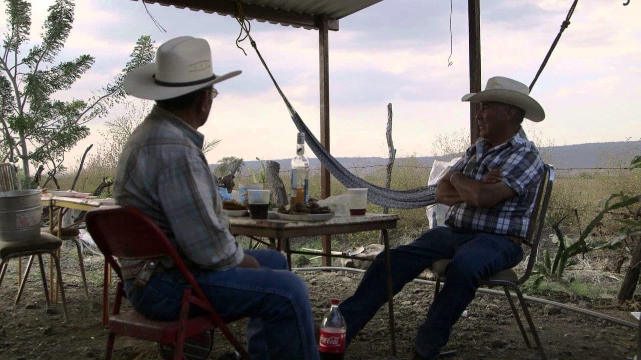 Backdrop for The Solitude of Memory