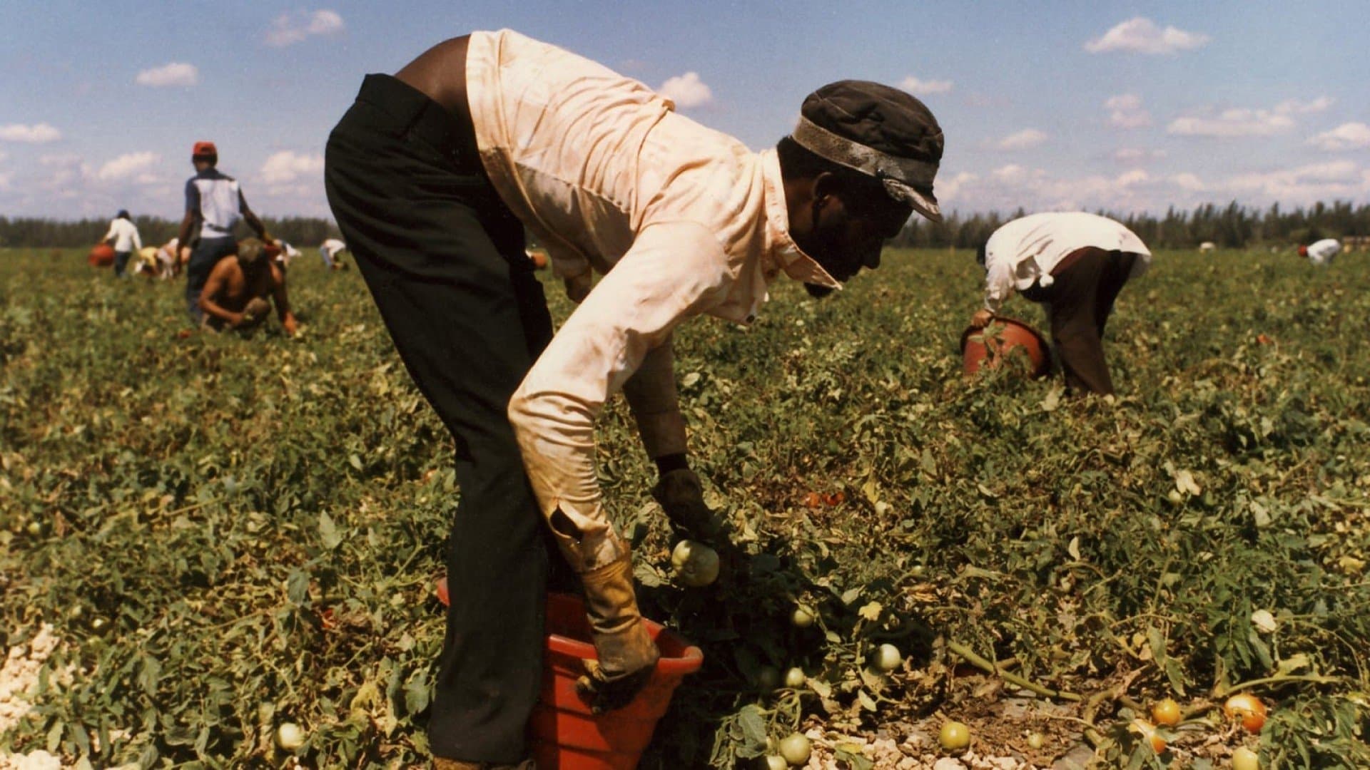 Backdrop for . . . And the Pursuit of Happiness