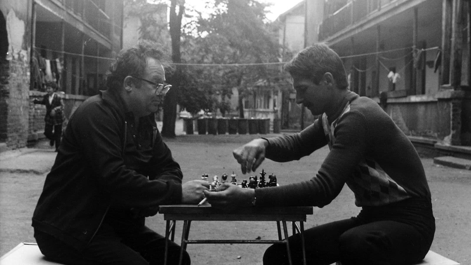 Backdrop for Family Nest