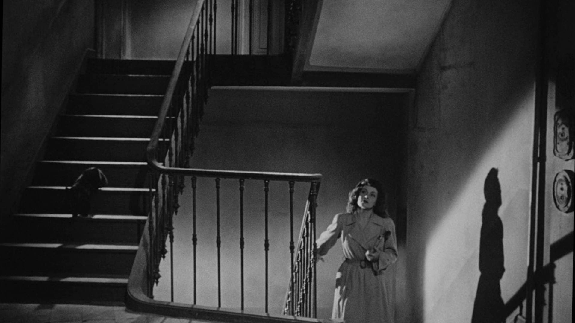 Backdrop for Panique