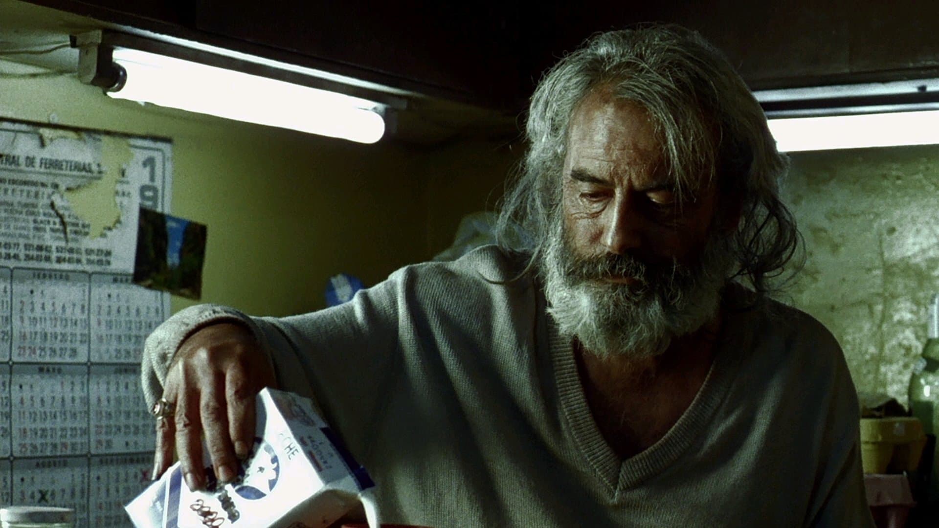 Backdrop for Amores perros