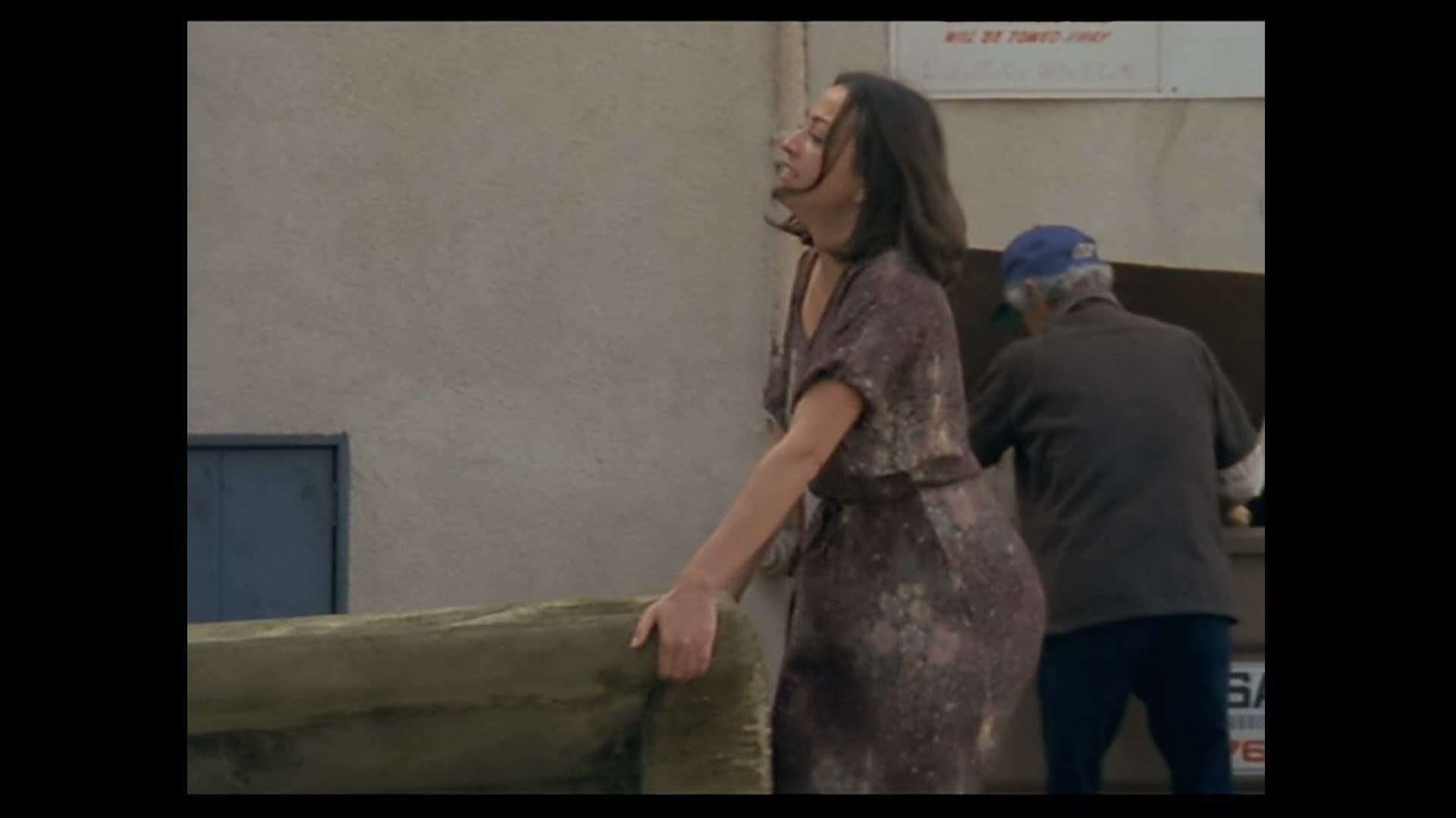 Backdrop for The Gleaners and I: Two Years Later