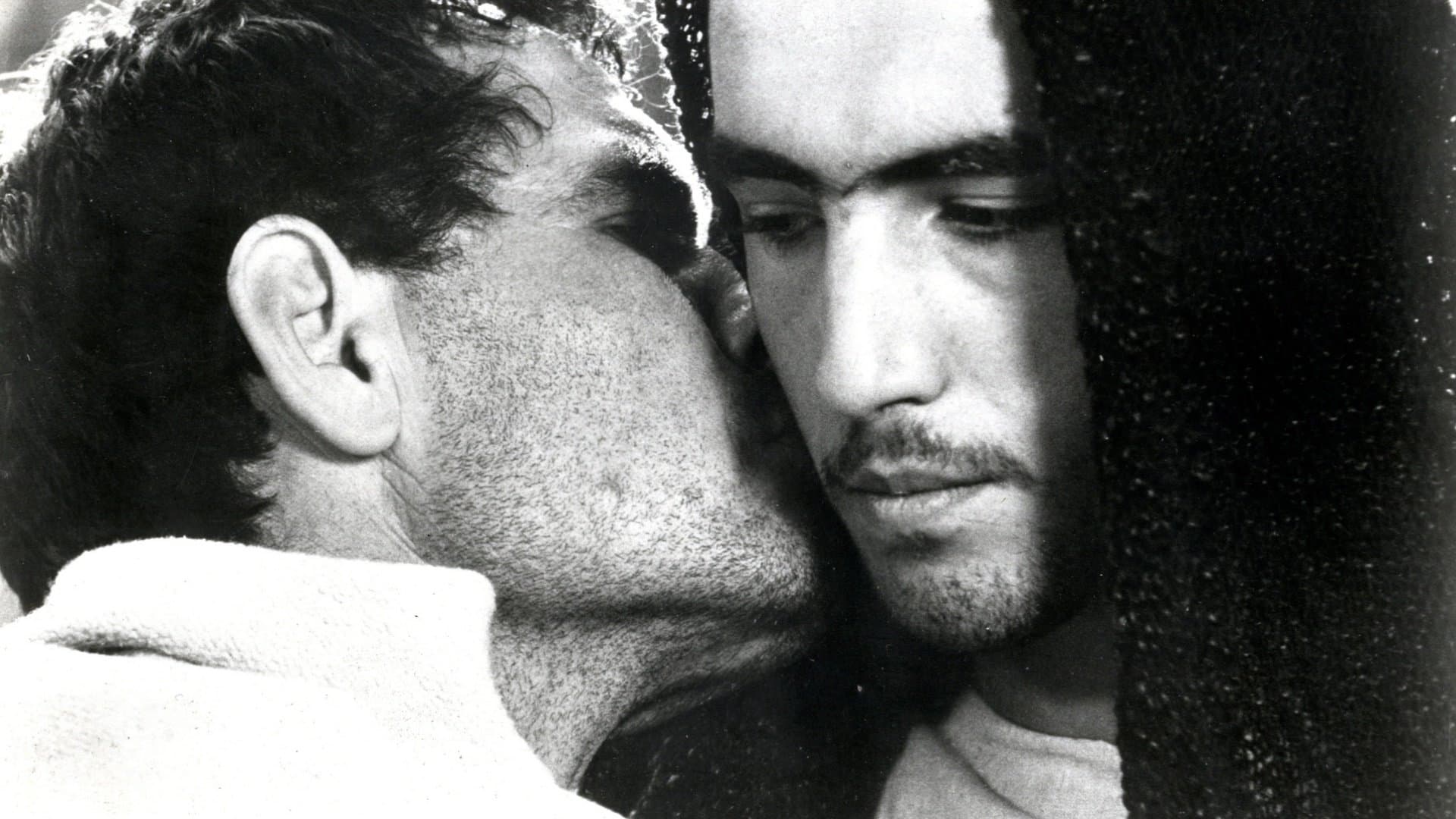 Backdrop for The Gospel According to Matthew