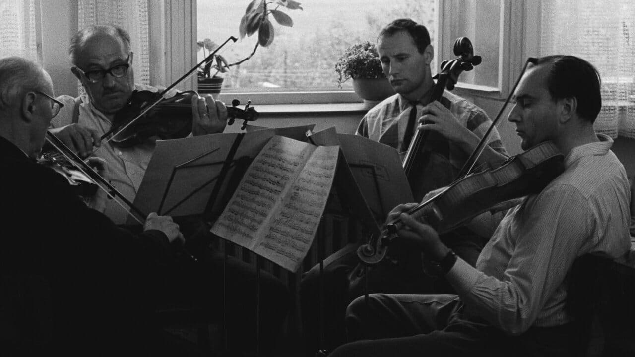 Backdrop for Intimate Lighting