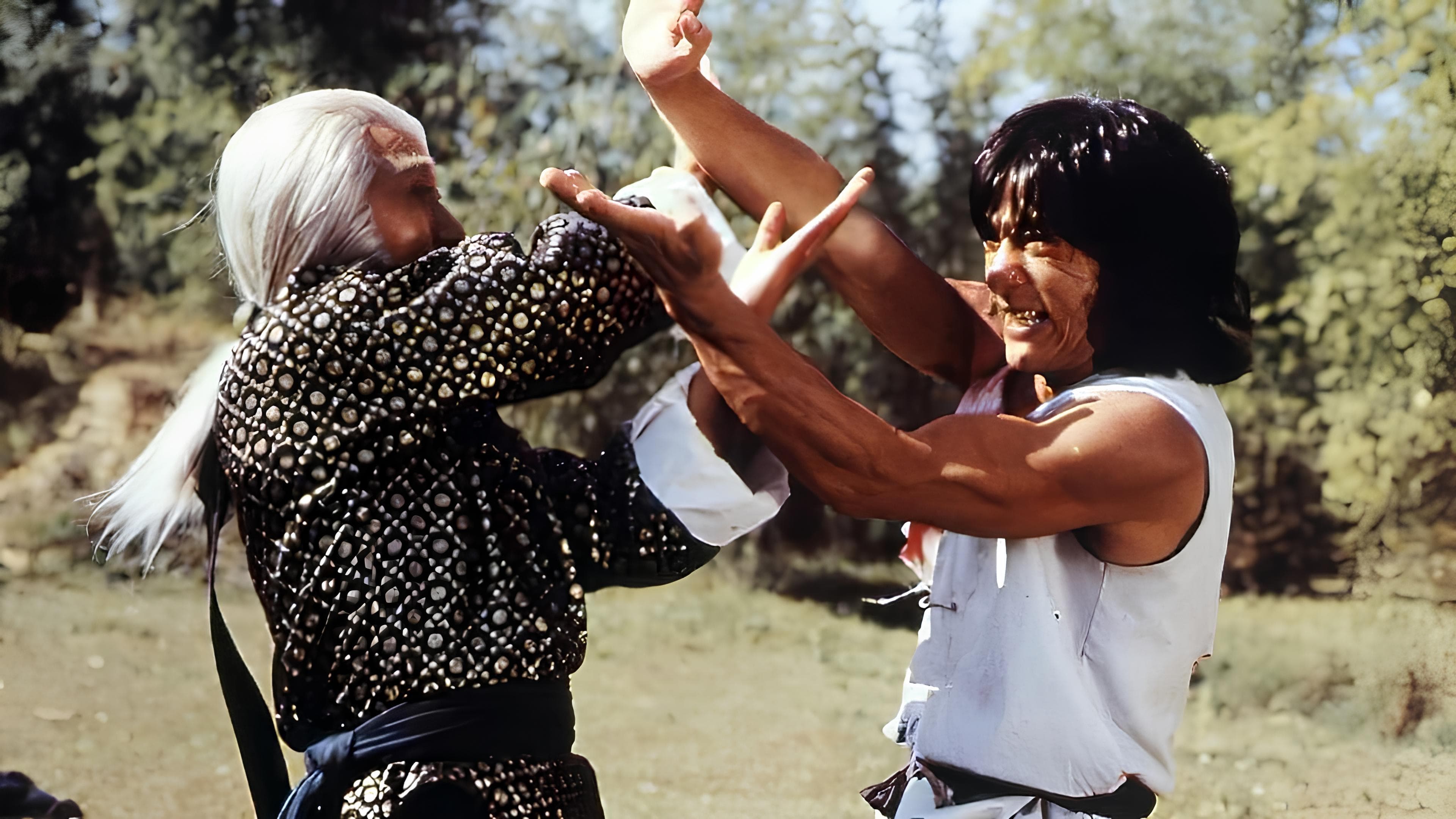 Backdrop for The Fearless Hyena