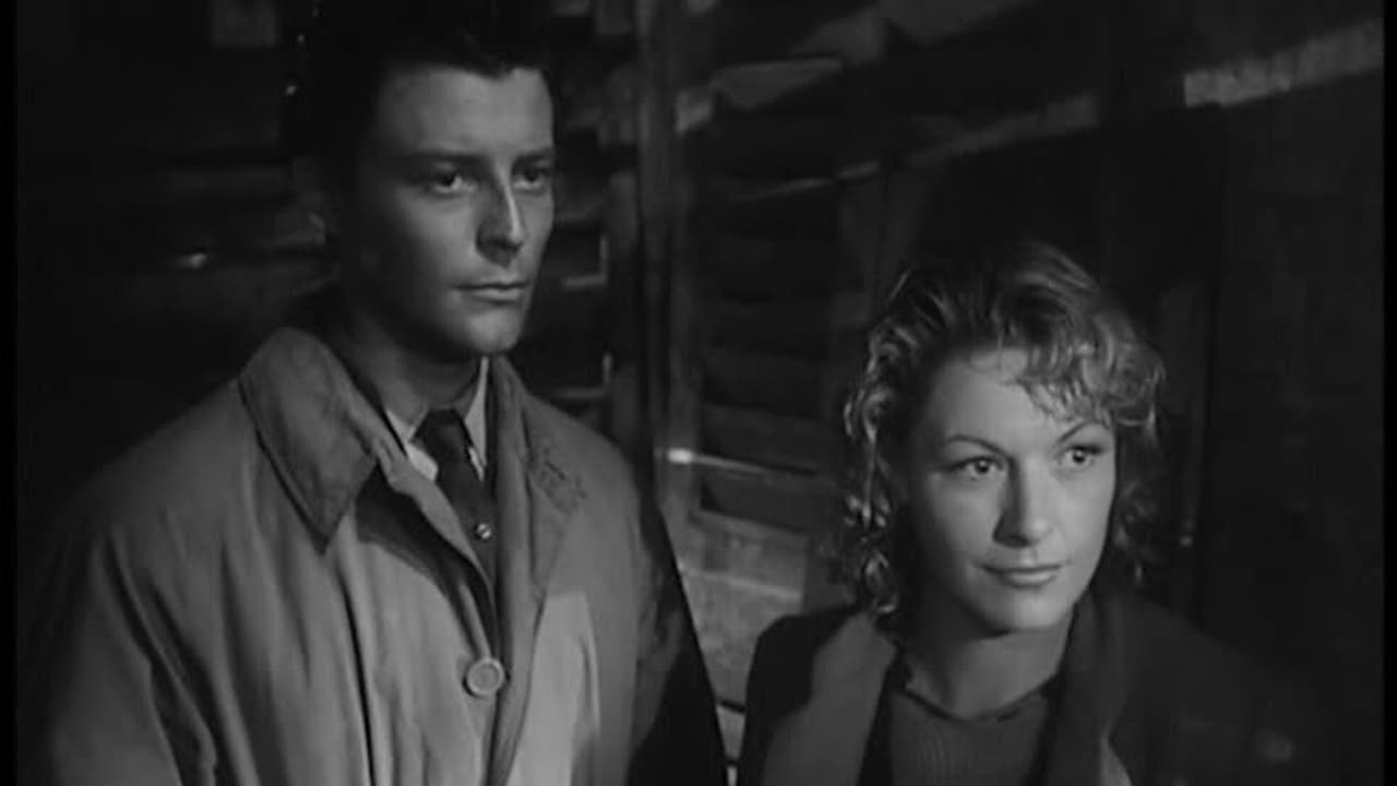 Backdrop for Such a Pretty Little Beach