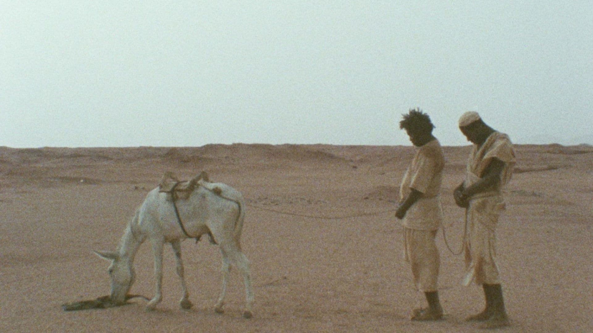 Backdrop for The Rope