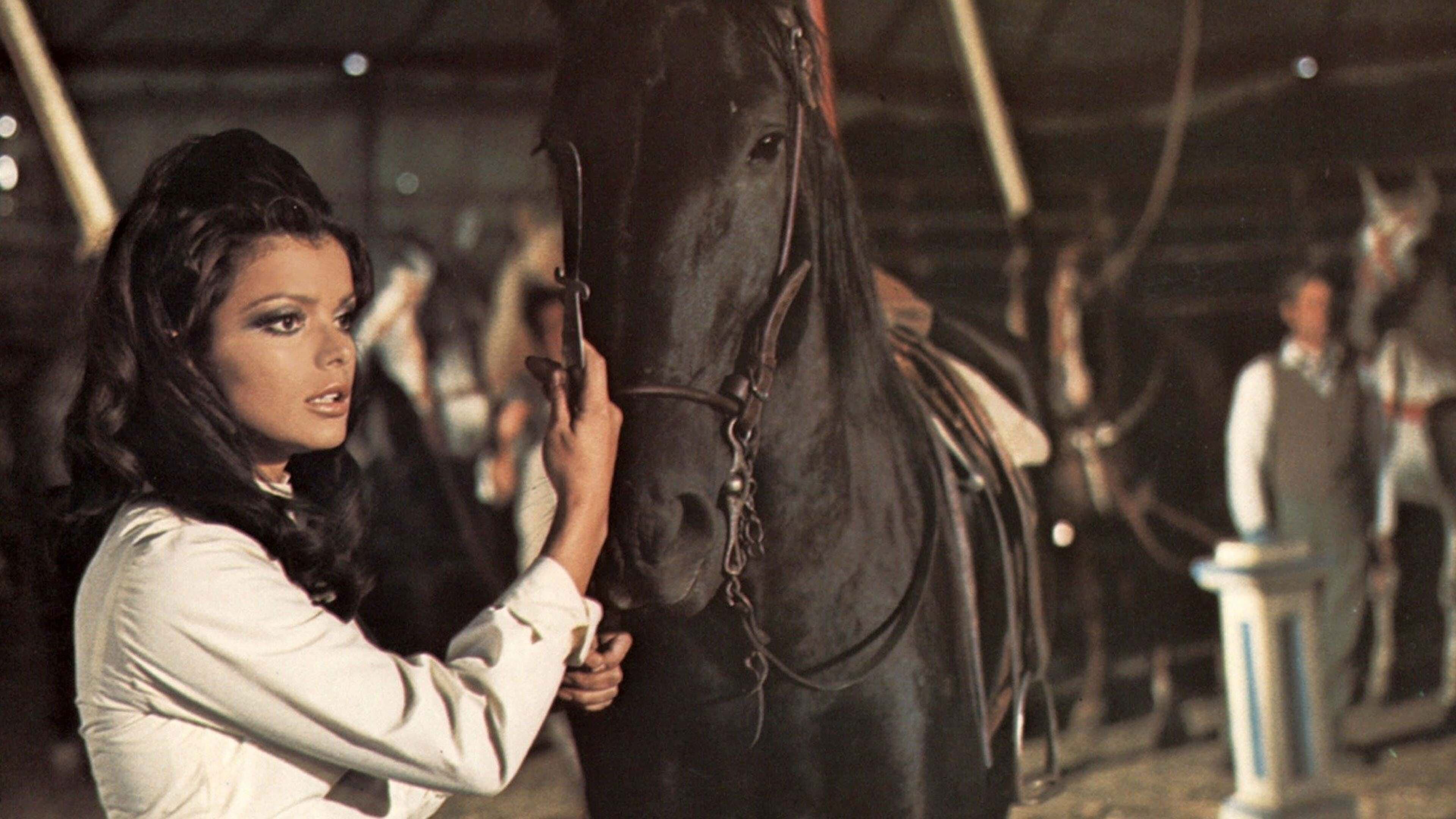 Backdrop for Black Beauty