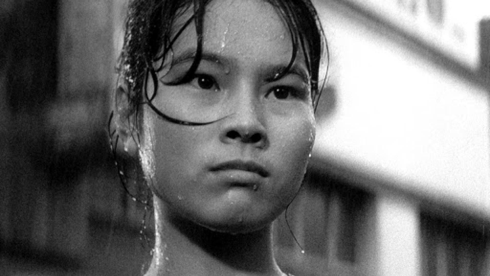 Backdrop for Pigs and Battleships