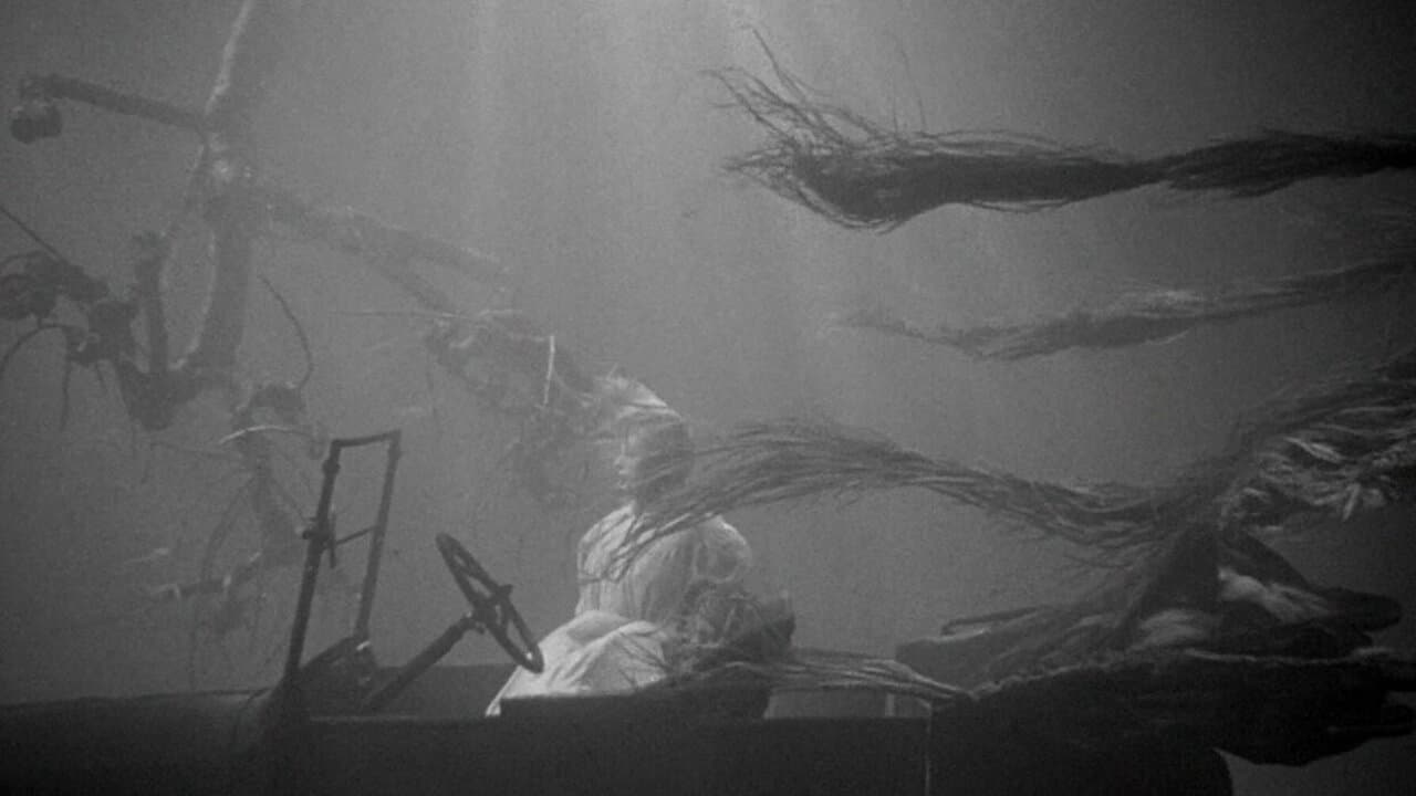 Backdrop for The Night of the Hunter